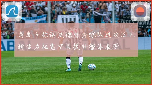 乌度卡称谢泼德将为球队进攻注入新活力拓宽空间提升整体表现