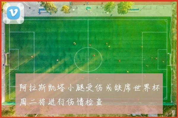阿拉斯凯塔小腿受伤或缺席世界杯周二将进行伤情检查