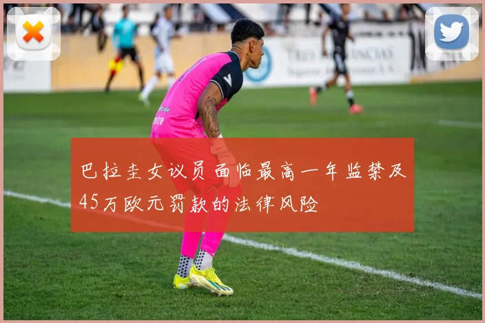 巴拉圭女议员面临最高一年监禁及45万欧元罚款的法律风险